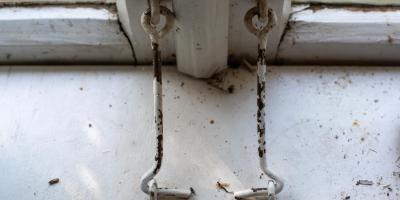 Co szósty Europejczyk ma problemy ze zdrowiem psychicznym