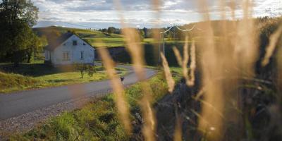Chorzy z biedy, czyli jak ubóstwo wpływa na zdrowie