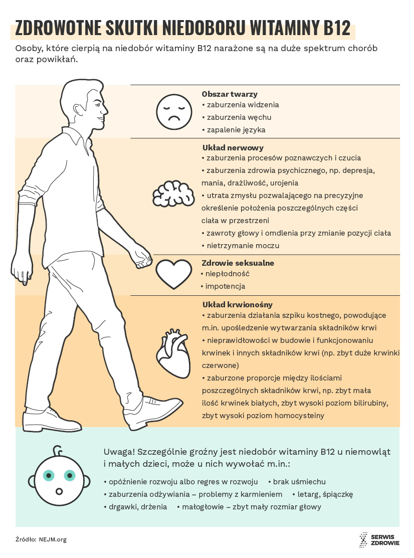 infografika o witaminie B12