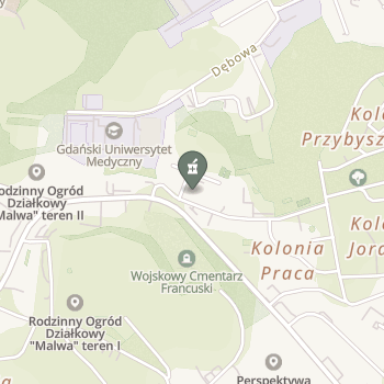 Apteka Gemini na mapie