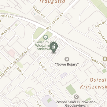 Apteka pod Lwem na mapie