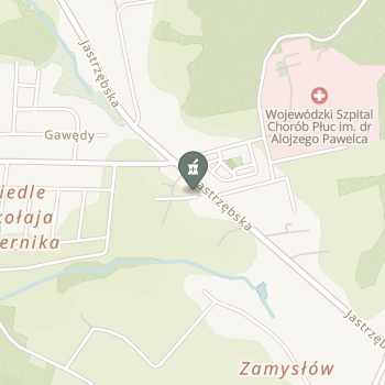 Apteka pod Lwem na mapie