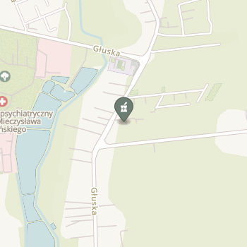 Apteka Głuska na mapie