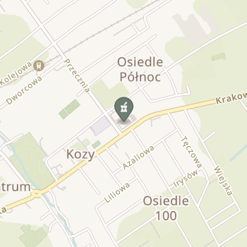 Koziańskie Centrum Leków na mapie