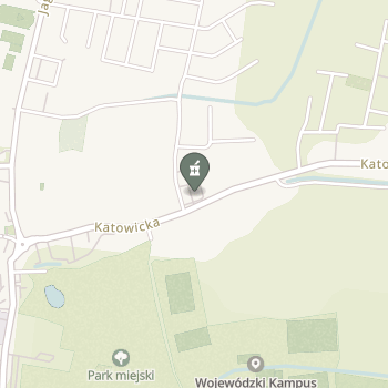 Apteka Goździkowej na mapie