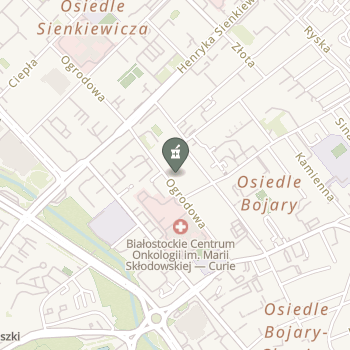 Apteka pod Lwem na mapie