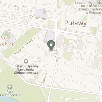 Apteka "Puławska I" na mapie