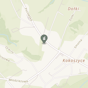 Apteka na Pszowskiej na mapie