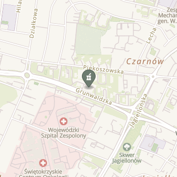 Apteka Gemini na mapie