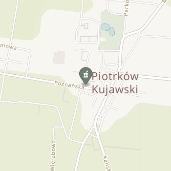 Apteka pod Magnolią na mapie