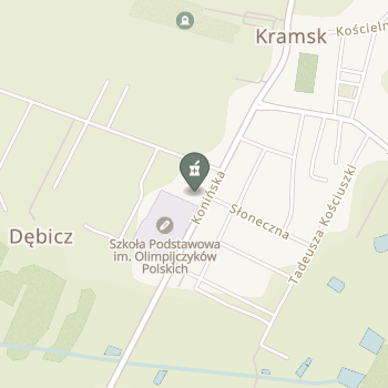 Apteka Kramsk na mapie