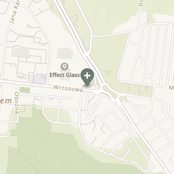 Aneta Poczęta na mapie