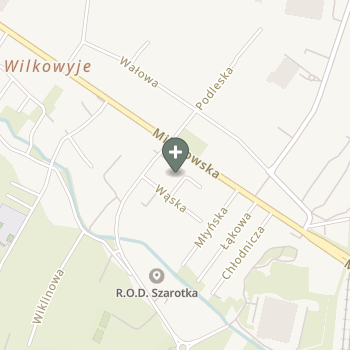 Barbara Pilot na mapie