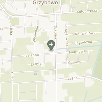 Aleksandra Rapacz na mapie