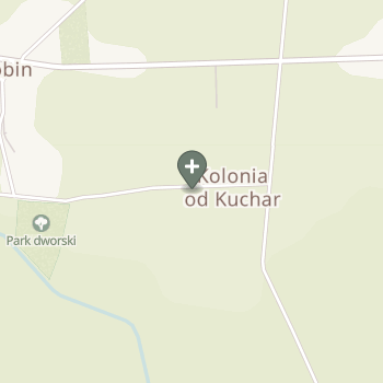 Agnieszka Widłak na mapie