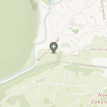 Karolina Malewska-Scheuer na mapie