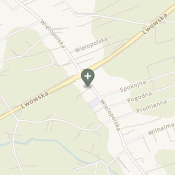 Ewelina Czyżowska na mapie