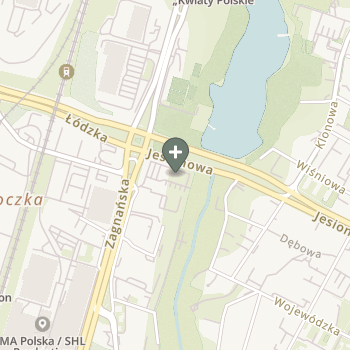 Monika Kubicka na mapie