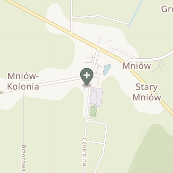 Paulina Kozdracka na mapie