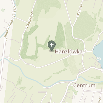 Praktyka Fizjoterapeutyczna na mapie