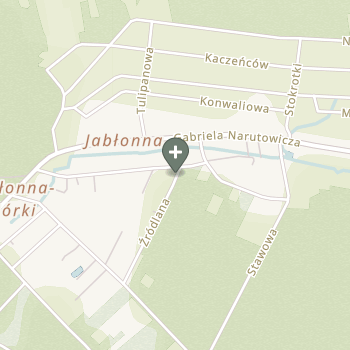 Dominik Sitek na mapie