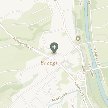 Praktyka Fizjoterapeutyczna na mapie