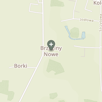 Praktyka Fizjoterapeutyczna na mapie