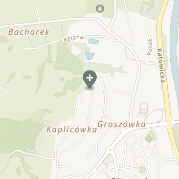 Praktyka Fizjoterapeutyczna na mapie