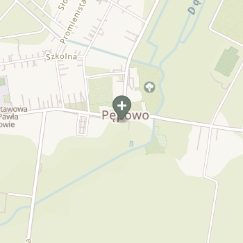 Praktyka Fizjoterapeutyczna na mapie
