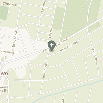 Praktyka Fizjoterapeutyczna na mapie