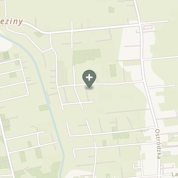 Praktyka Fizjoterapeutyczna na mapie