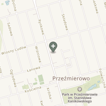 Praktyka Fizjoterapeutyczna na mapie