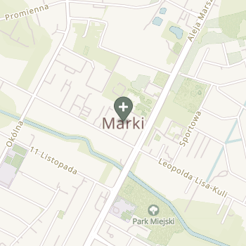 Praktyka Fizjoterapeutyczna na mapie