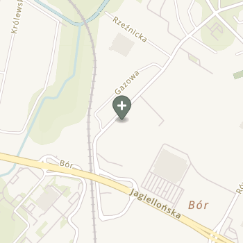 Praktyka Fizjoterapeutyczna na mapie