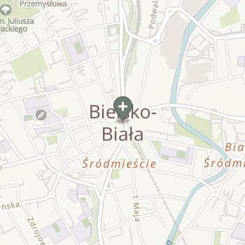 Praktyka Fizjoterapeutyczna na mapie