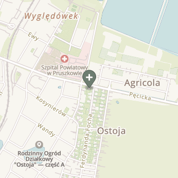 Praktyka Fizjoterapeutyczna na mapie