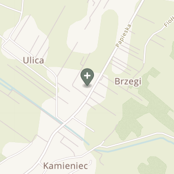 Praktyka Fizjoterapeutyczna na mapie