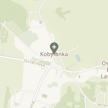 Praktyka Fizjoterapeutyczna na mapie