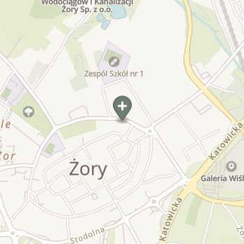 Praktyka Fizjoterapeutyczna na mapie