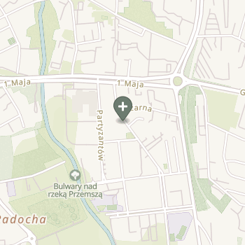 Praktyka Fizjoterapeutyczna na mapie