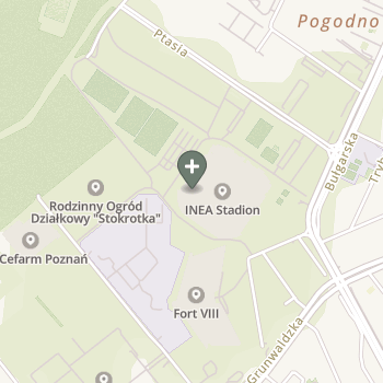 Praktyka Fizjoterapeutyczna na mapie