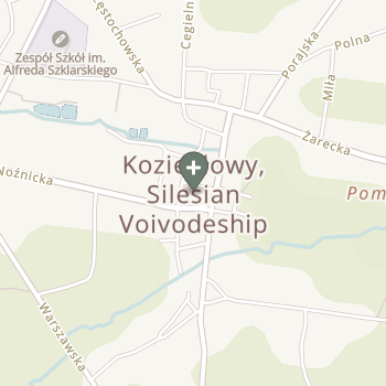 Praktyka Fizjoterapeutyczna na mapie