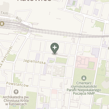 Praktyka Fizjoterapeutyczna na mapie