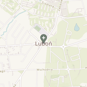 Praktyka Fizjoterapeutyczna na mapie