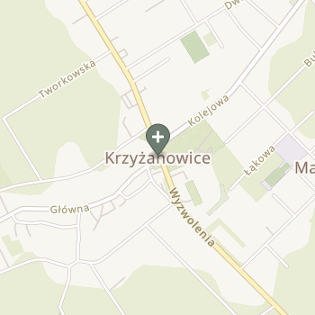 Praktyka Fizjoterapeutyczna na mapie