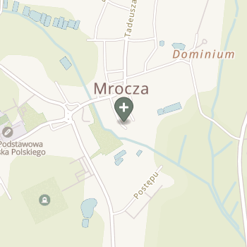 Praktyka Fizjoterapeutyczna na mapie