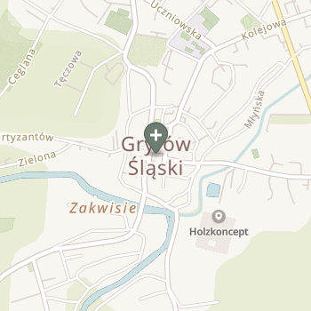 Praktyka Fizjoterapeutyczna na mapie