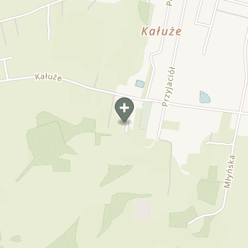 Praktyka Fizjoterapeutyczna na mapie