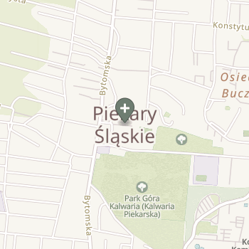 Praktyka Fizjoterapeutyczna na mapie