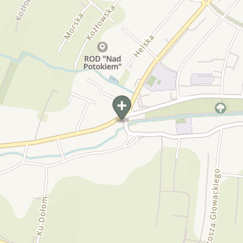 Praktyka Fizjoterapeutyczna na mapie